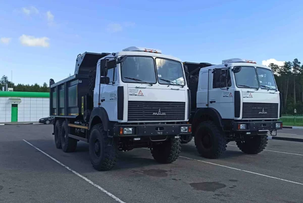 Самосвал МАЗ 6317F9 AG6NNS — изображение 3