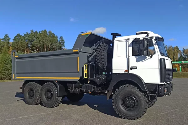 Самосвал МАЗ 6317F9 AG6NNS