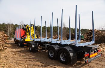 Сортиментовоз МАЗ-631228 с гидроманипулятором Marchesi M11T 02.100