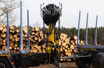 Сортиментовоз МАЗ-631228 с гидроманипулятором Marchesi M11T 02.100