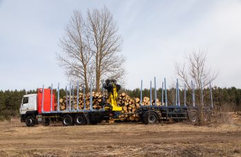 Сортиментовоз МАЗ-631228 с гидроманипулятором Marchesi M11T 02.100