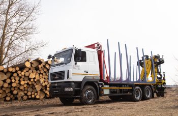 Сортиментовоз МАЗ-631228 с гидроманипулятором Marchesi M11T 02.100