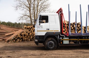 Сортиментовоз МАЗ-631228 с гидроманипулятором Marchesi M11T 02.100