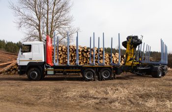 Сортиментовоз МАЗ-631228 с гидроманипулятором Marchesi M11T 02.100