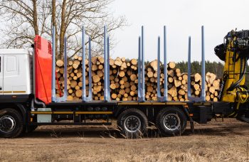 Сортиментовоз МАЗ-631228 с гидроманипулятором Marchesi M11T 02.100