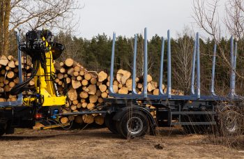 Сортиментовоз МАЗ-631228 с гидроманипулятором Marchesi M11T 02.100