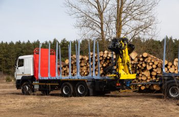 Сортиментовоз МАЗ-631228 с гидроманипулятором Marchesi M11T 02.100