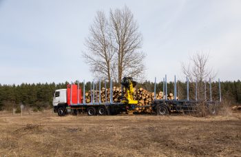 Сортиментовоз МАЗ-631228 с гидроманипулятором Marchesi M11T 02.100