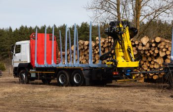 Сортиментовоз МАЗ-631228 с гидроманипулятором Marchesi M11T 02.100