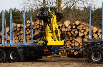 Сортиментовоз МАЗ-631228 с гидроманипулятором Marchesi M11T 02.100