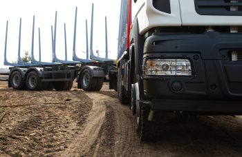 Сортиментовоз МАЗ-631228 с гидроманипулятором Marchesi M11T 02.100