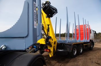 Сортиментовоз МАЗ-631228 с гидроманипулятором Marchesi M11T 02.100