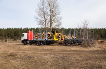 Сортиментовоз МАЗ-631228 с гидроманипулятором Marchesi M11T 02.100