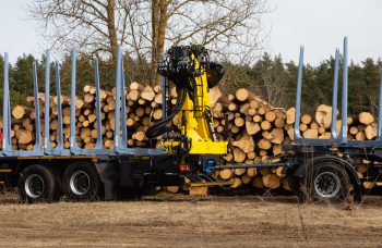 Сортиментовоз МАЗ-631228 с гидроманипулятором Marchesi M11T 02.100