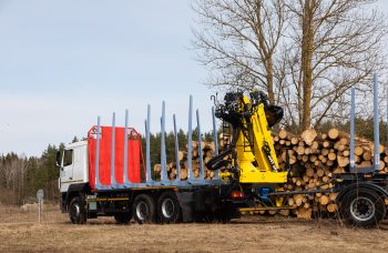 Сортиментовоз МАЗ-631228 с гидроманипулятором Marchesi M11T 02.100
