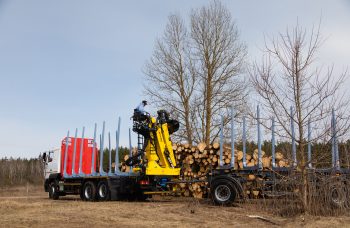 Сортиментовоз МАЗ-631228 с гидроманипулятором Marchesi M11T 02.100