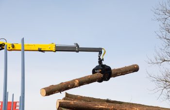 Сортиментовоз МАЗ-631228 с гидроманипулятором Marchesi M11T 02.100