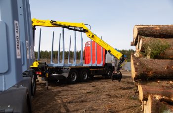 Сортиментовоз МАЗ-631228 с гидроманипулятором Marchesi M11T 02.100