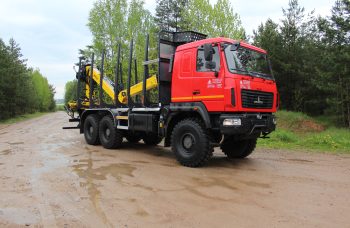 Сортиментовоз МАЗ-631828 с манипулятором Marchesi M10RS01.87