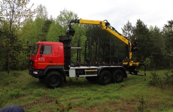 Сортиментовоз МАЗ-631828 с манипулятором Marchesi M10RS01.87
