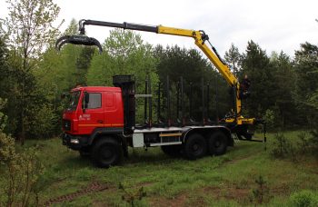 Сортиментовоз МАЗ-631828 с манипулятором Marchesi M10RS01.87
