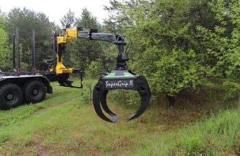 Сортиментовоз МАЗ-631828 с манипулятором Marchesi M10RS01.87