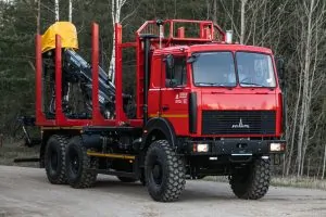 Сортиментовоз МАЗ 6317F9 с манипулятором Майман MS10L9