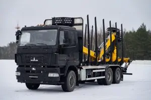Сортиментовоз МАЗ-631228 с гидроманипулятором Marchesi M10RS 02.100